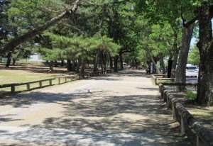 奈良公園の画像
